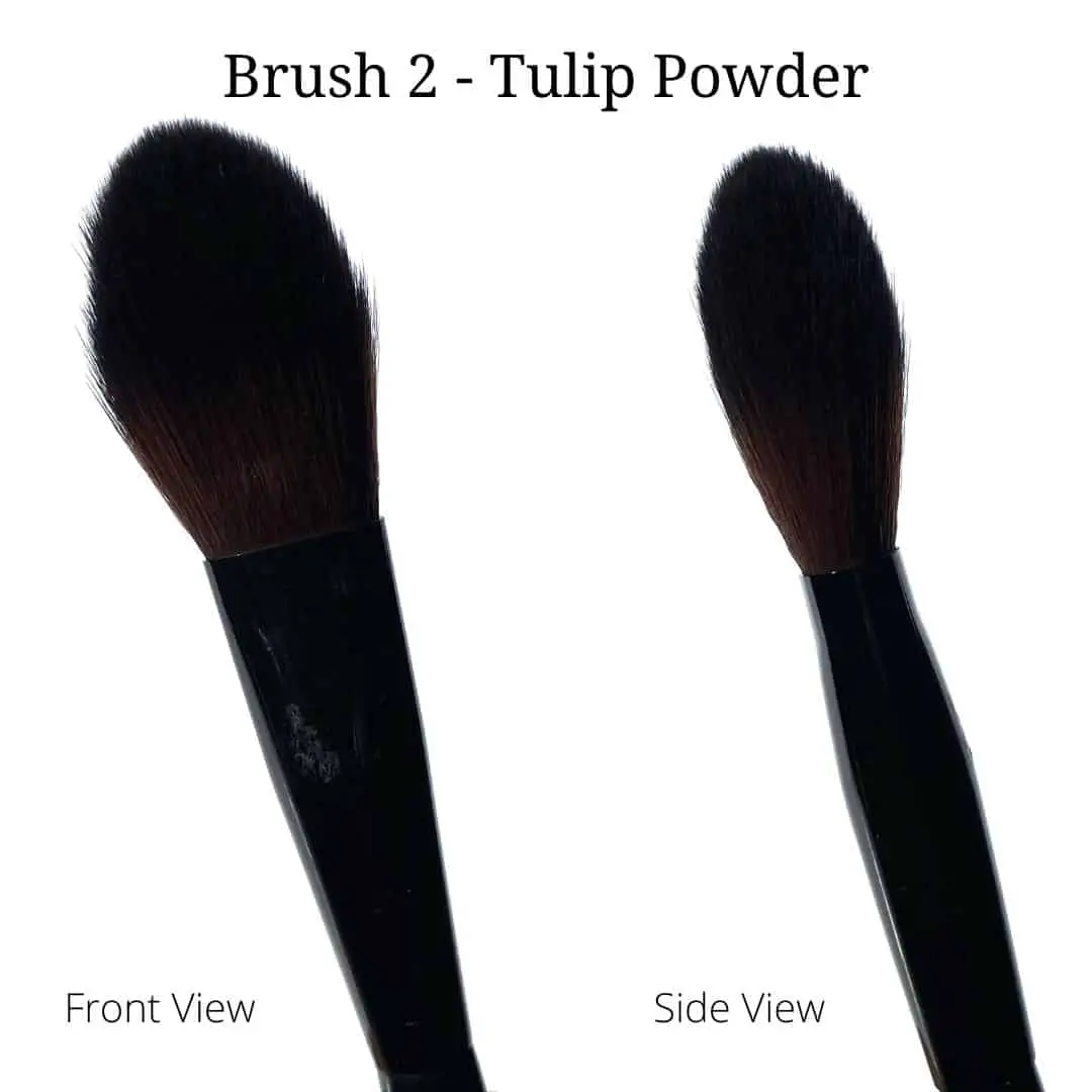 tann beauty Brush 2 Tulip Powder